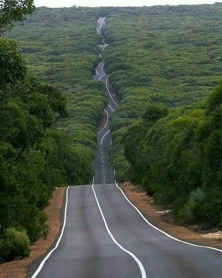 Australia island road.jpg